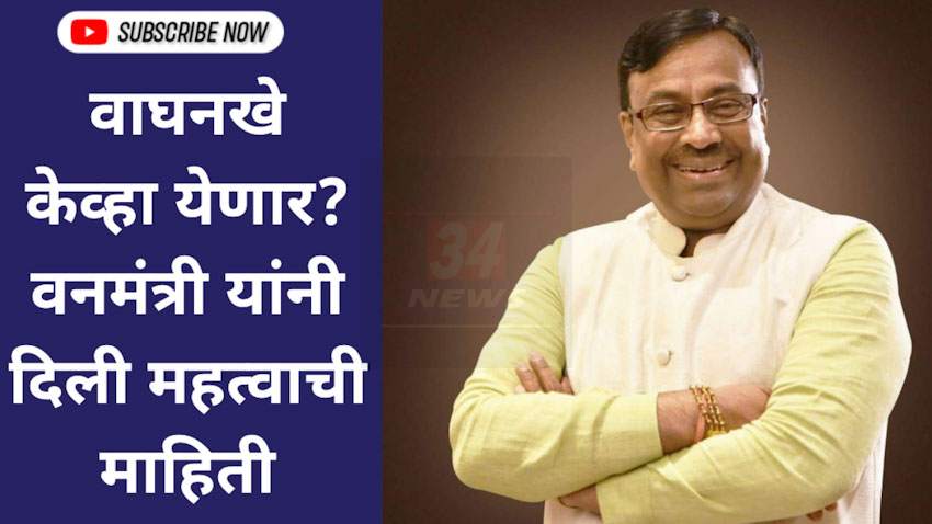 वाघनखे कधी येणार? वनमंत्री मुनगंटीवार यांनी दिली महत्वाची माहिती