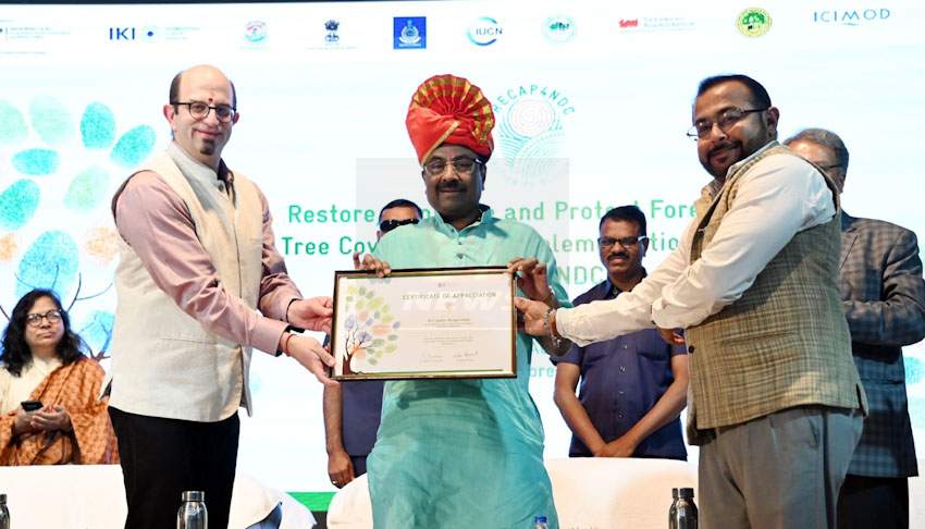 महाराष्ट्र वनविभागाचा डंका साता समुद्रापार