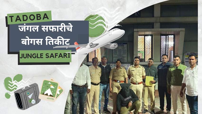 Tadoba Jungle Safari : ताडोबा जंगल सफारीचे पर्यटकांना मिळाले बोगस तिकीट