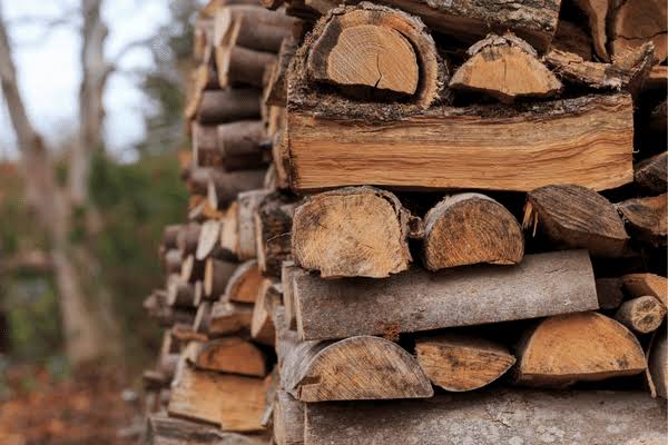 Forest News : चीचपल्ली वनपरिक्षेत्रातील मुल उपक्षेत्रात अंत्यसंस्कार व निस्तार हक्कासाठी लाकूड बीट उपलब्ध