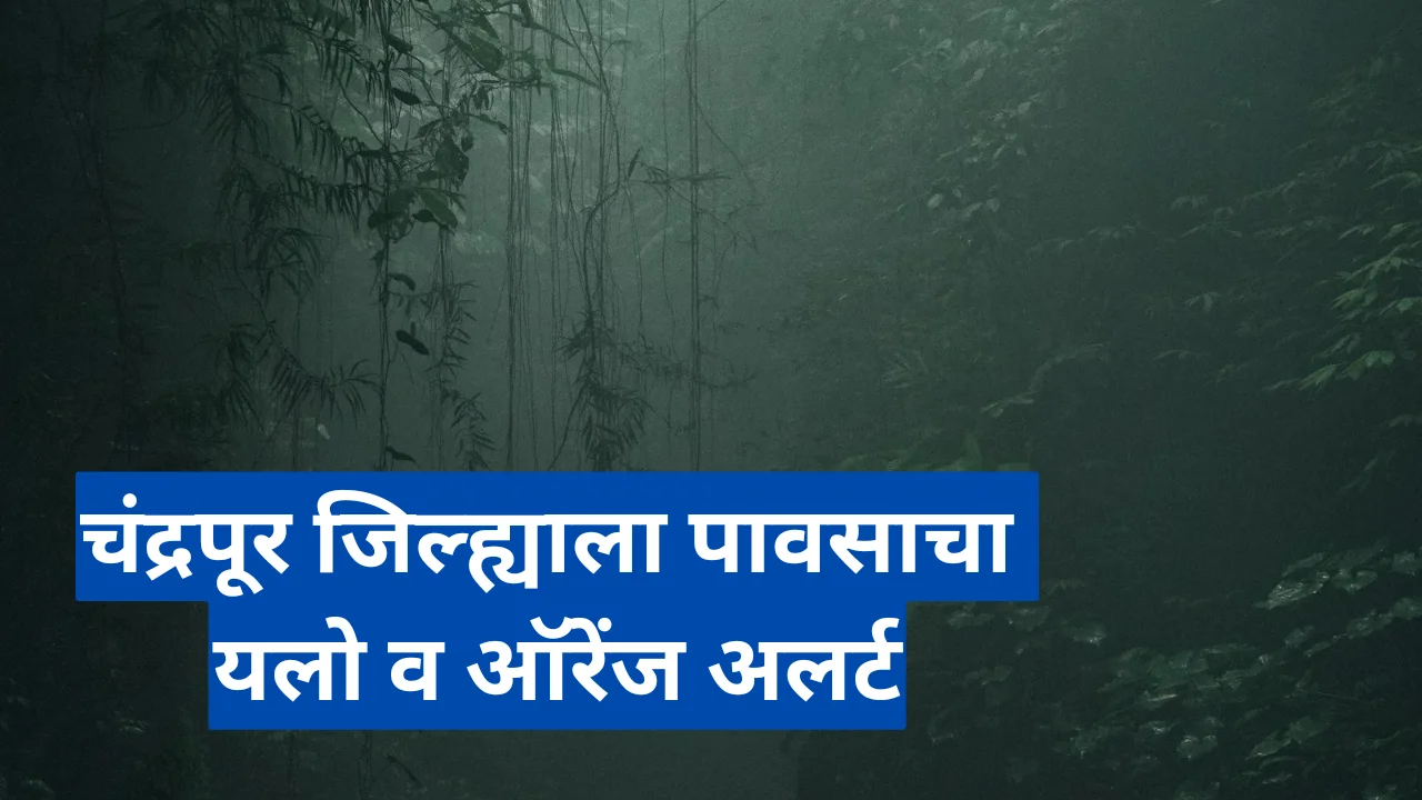 Chandrapur whether