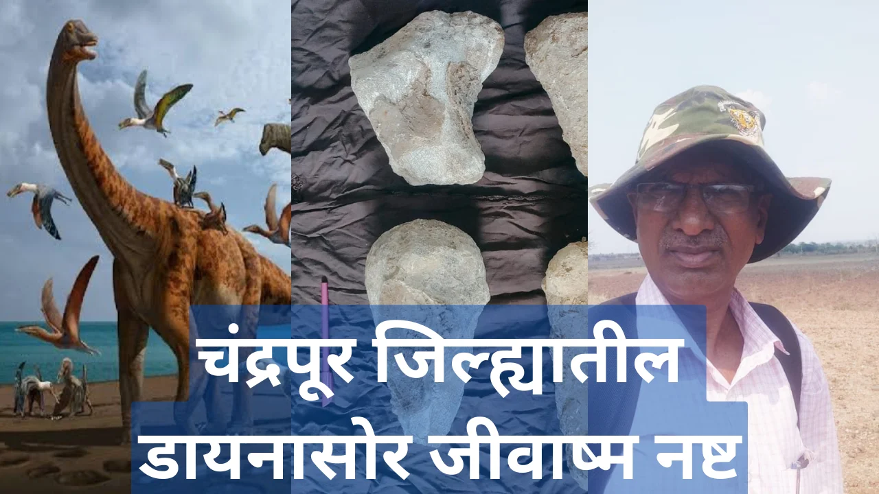 Chandrapur district