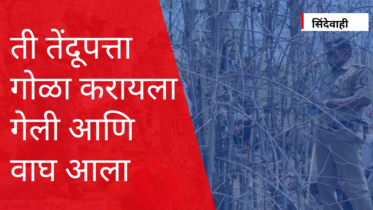 Chandrapur district
