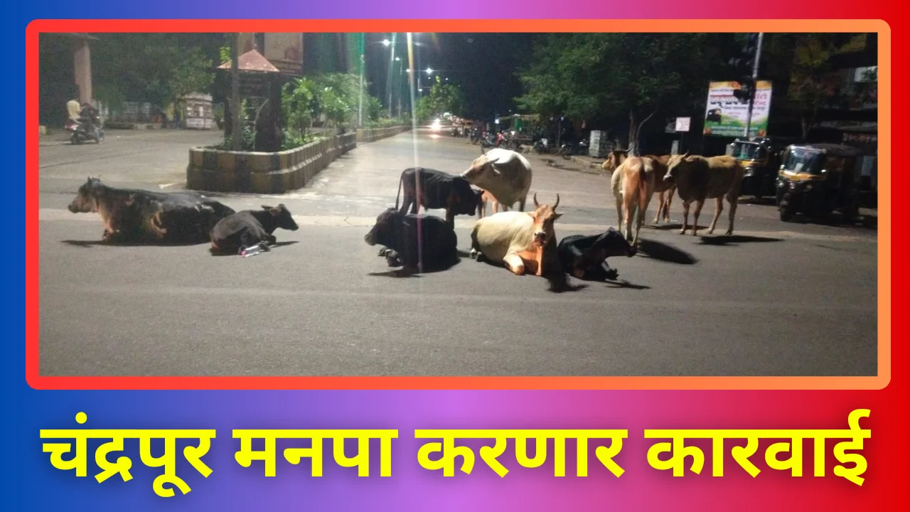 Chandrapur city municipal corporation