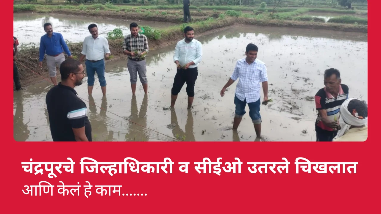 Collector chanda