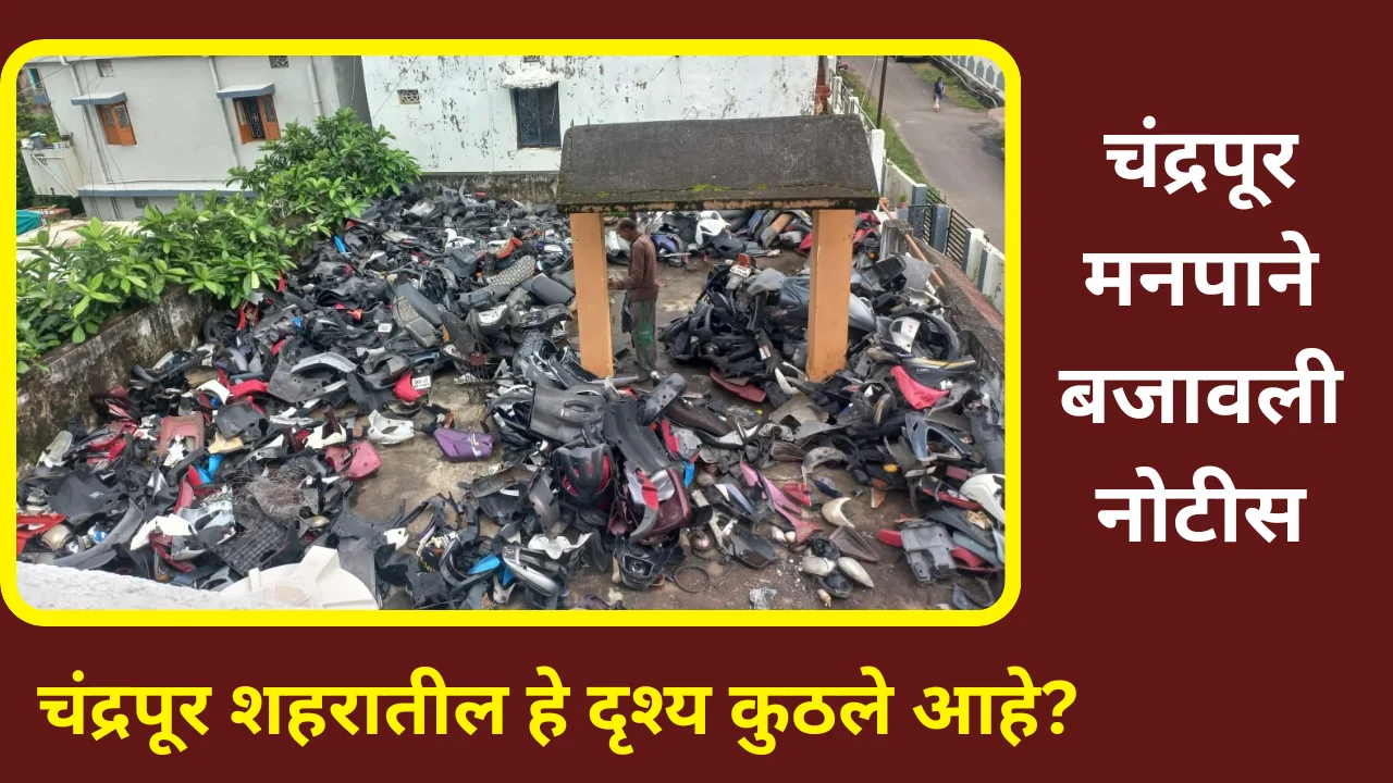 Dengue : चंद्रपुरातील हे कुठलं दृश्य आहे?