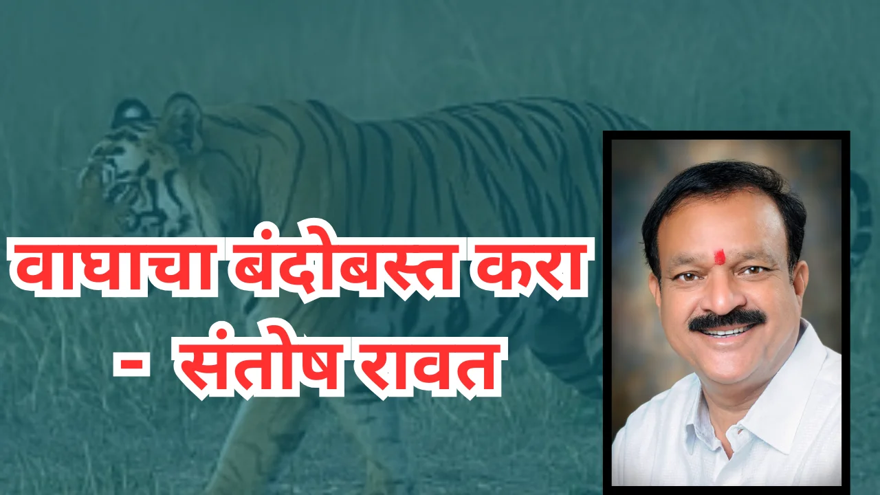 Terror of tigers : वाघाचा बंदोबस्त करा – संतोष रावत