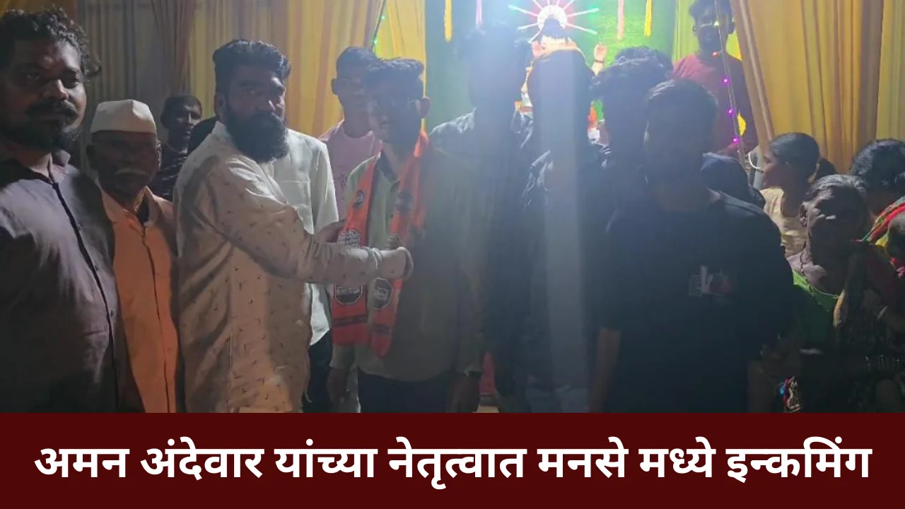 Mns party