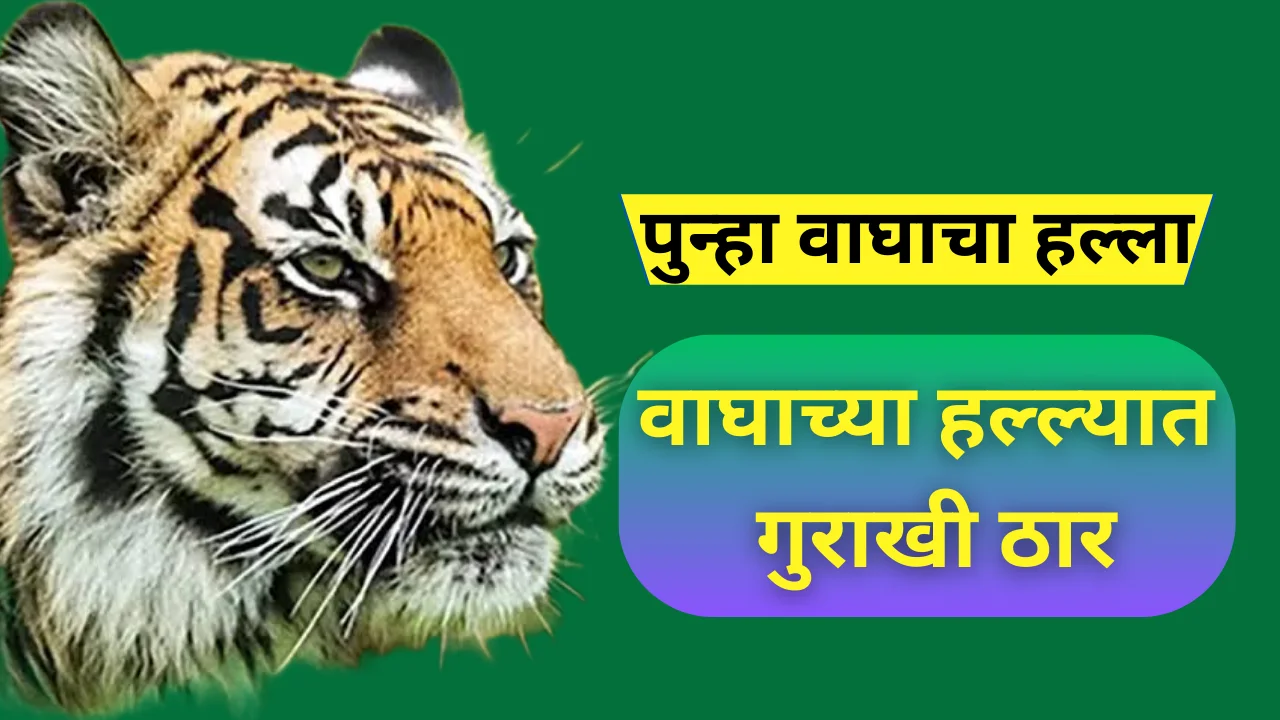 Human Wildlife Conflict