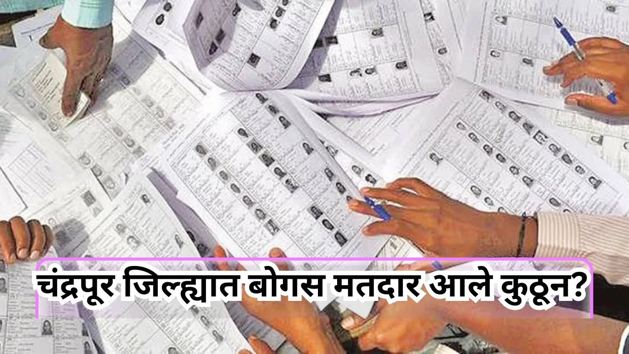Online Voter Registration